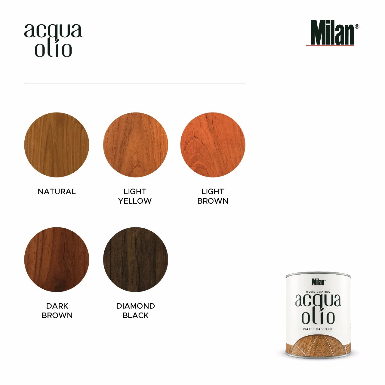 Acqua Olio COLOUR CARD ACQUA OLIO