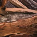 5 Fakta Kayu Ulin yang Wajib Diketahui Sebelum Digunakan untuk Konstruksi 