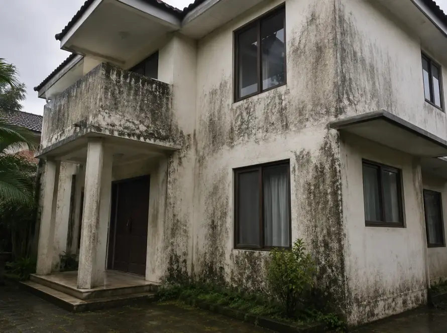 bangunan rumah kusam dan berjamur